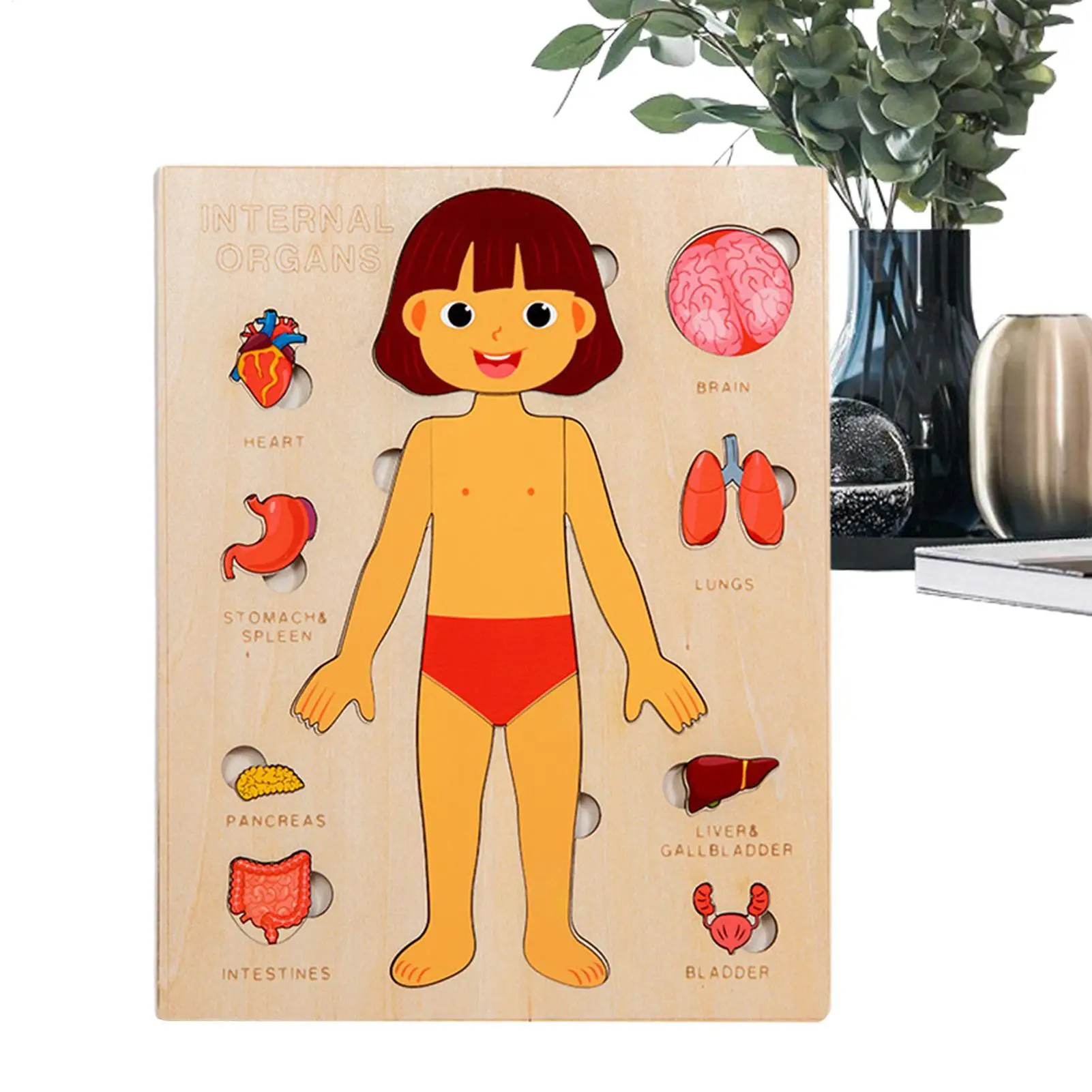 Livro de partes do corpo para crianças de 1 a 3 anos, quebra-cabeças educativos de madeira, brinquedos científicos para crianças pequenas, viagens, meninos, meninas, jovens