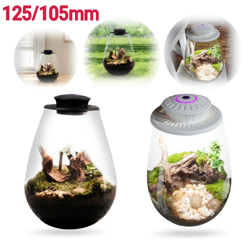 

Desktop Glass Plant Terrarium with Grow Light Indoor Plant Growth Succulent Moss Landscape Glass Terrarium Plant Lovers Gifts