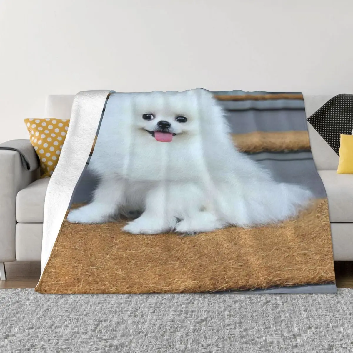 

Pomeranian Dog 2500 Plush Bed Blanket Blankets And Blankets Throw Blanket