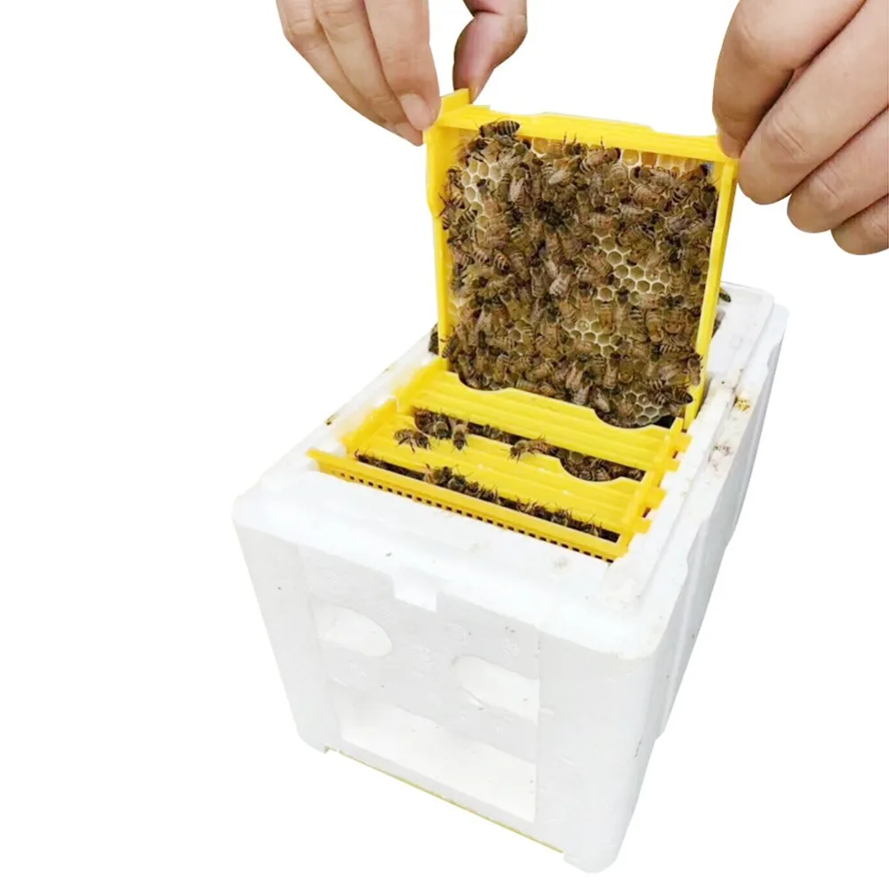 1 Pc Queen Bee Breeding Box Beehive Frame Stand strumenti per l\'apicoltura schiuma alveare giardino scatola per l\'impermeazione delle api forniture