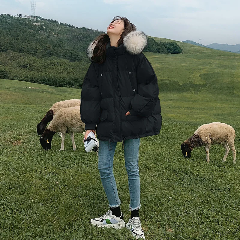 2025 New Autumn and Winter Loose Down Cotton Jacket Women's Short Short Small Loose Thickened Bread Jacket Padded Jacket