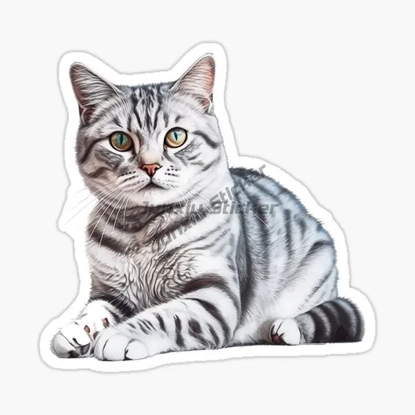 Creative American Shorthair Cat Cute Pets PVC Waterproof Stickers for Decorate Fridge Window Wall Car Van Bicycle Helmet Decal