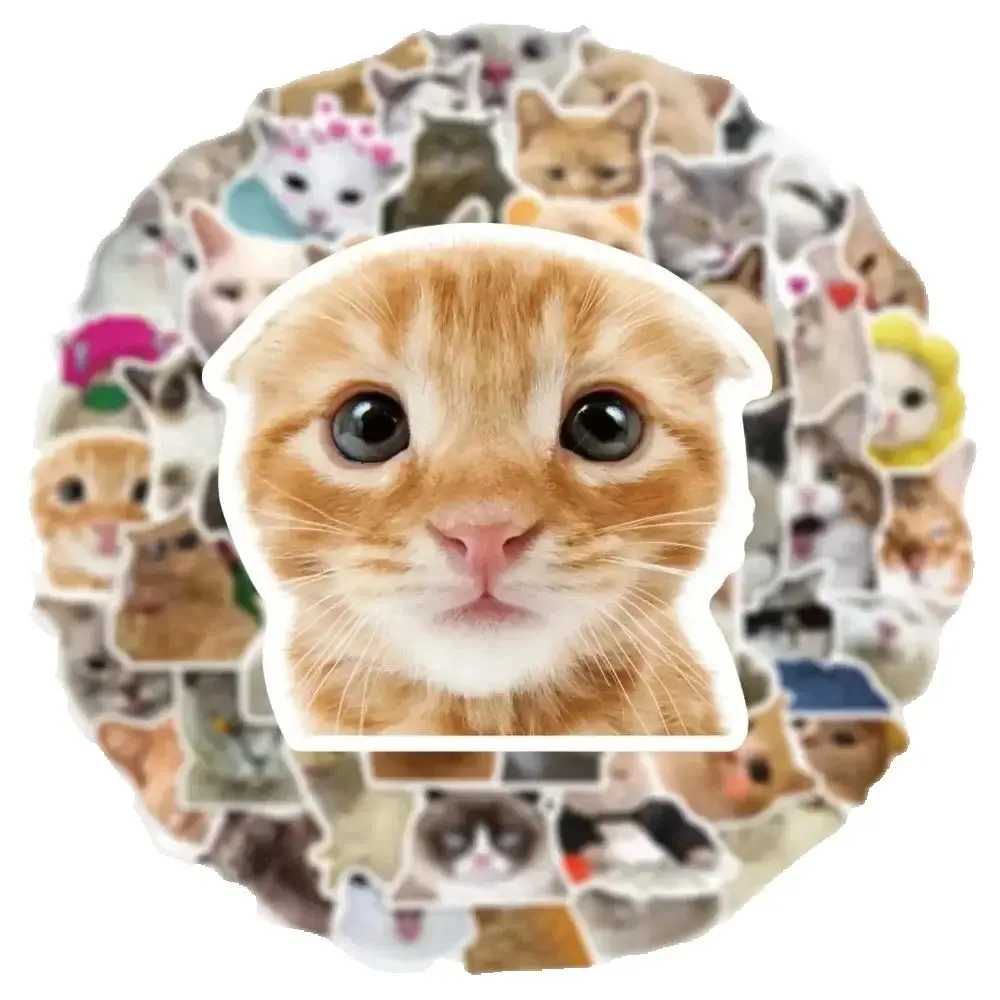 50 قطعة من ملصقات خربش القط الكرتونية اللطيفة العصرية لتزيين كوب الأمتعة المحمول على الجيتار بنفسك