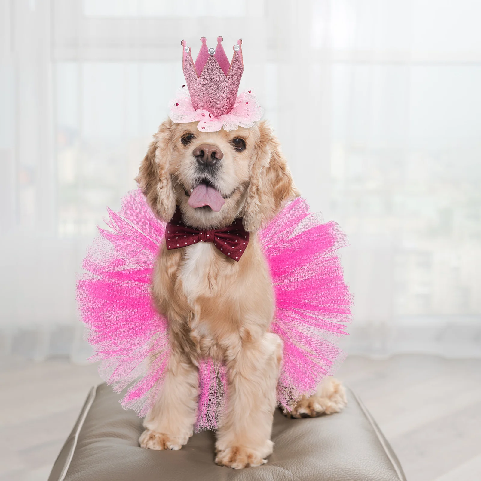 

Pet Tutu Skirt Crown Set Durable Material Exquisite Design Puppy Skirt Festival Costume Pet Clothes Dog Tie Party Dog Dress