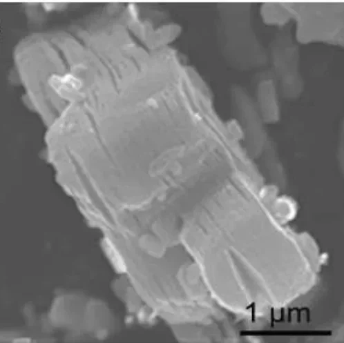 

Perhydroxy MXene—Nb2C