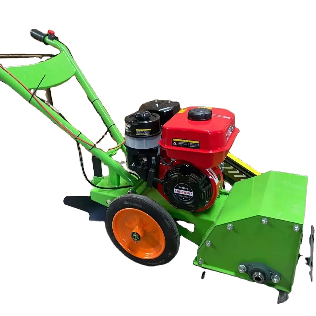 

Gasoline Powered Lawn Mowers Small Lawn Mowers Great Prices Suitable for Any Terrain