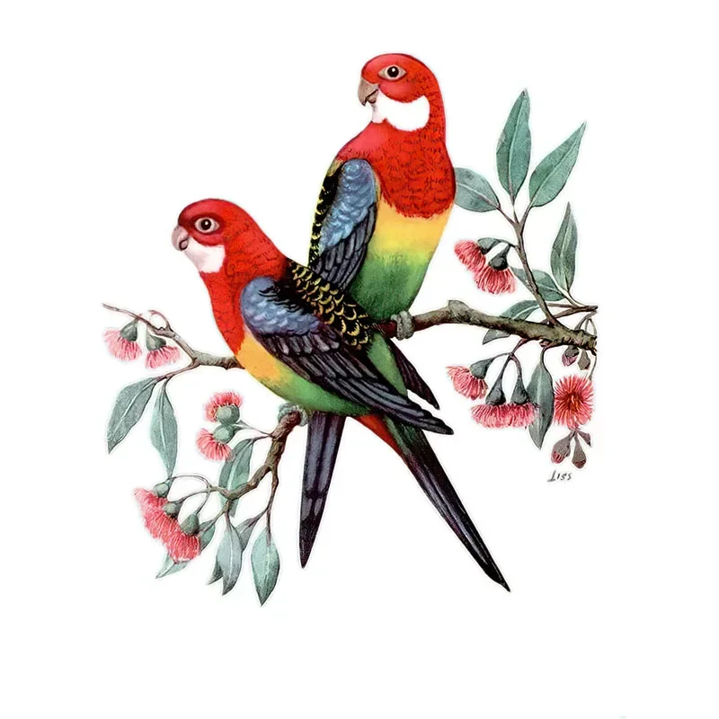 Personality Super Beautiful Parrot Car Decoration Decal Wall Decal Household Bathroom Scratch Decoration, 15cm