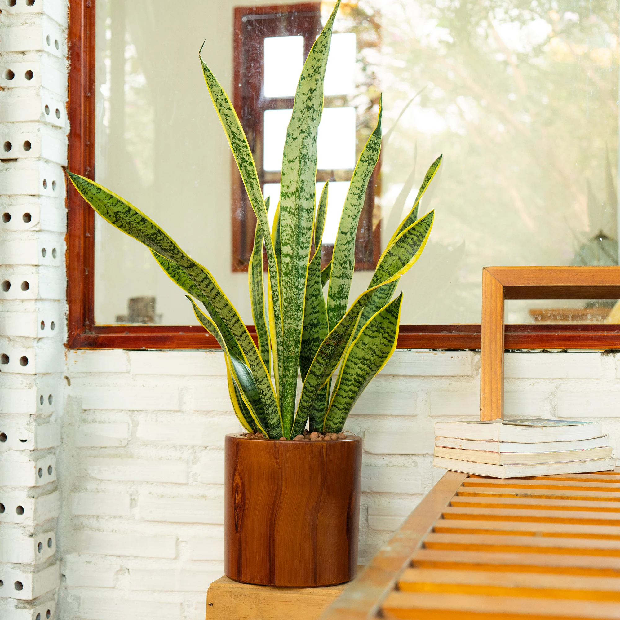 7,8 polegadas Vaso de Plástico - Self-Watering Planter avaliação e preço