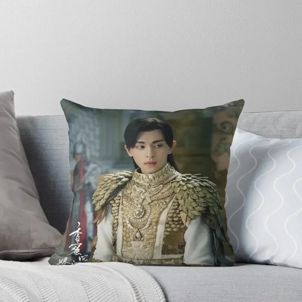 Ashes of Love Deng Lun Throw Pillow Christmas Pillow Covers Sofa Cushions Covers autumn decoration pillow