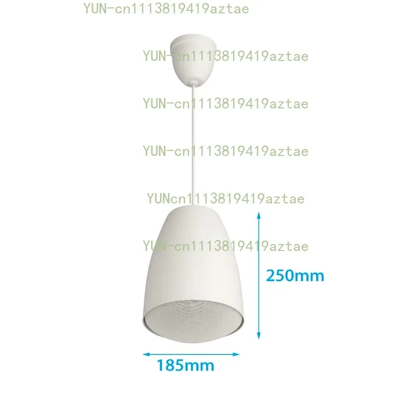TPA 5 Inch Pendant Commercial Speaker with 5 Inch Bass + Balanced Dome Tweeter for BGM Voice Announcements