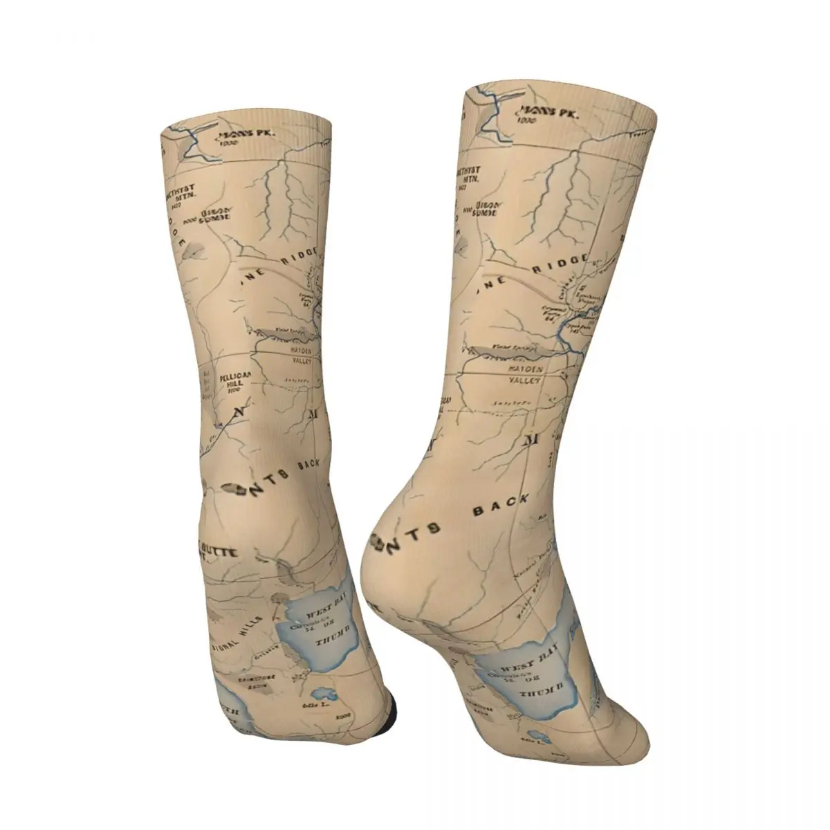 Crazy compression Vintage Map Of National Park (1889) Sock for Men Harajuku Yellowstone Seamless Pattern Crew Sock Novelty