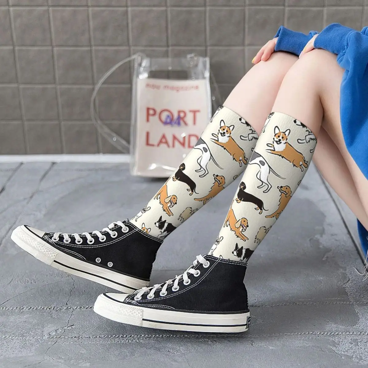 Calcetines Border Collie Harajuku medias de alta calidad calcetines largos para todas las estaciones accesorios para regalos de hombre y mujer