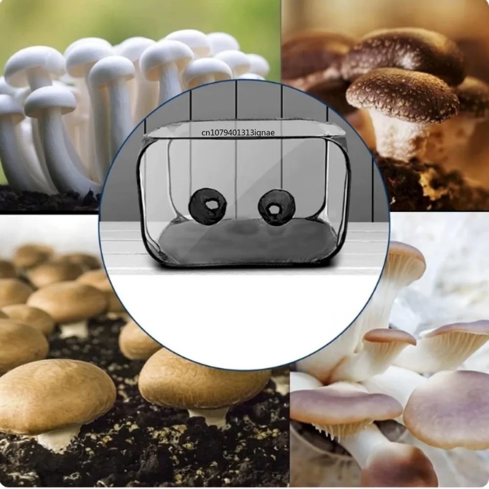Large Fixed Air Box Mushroom Growth Tent - 38x20x25 Inch Large Clean Air Workstation