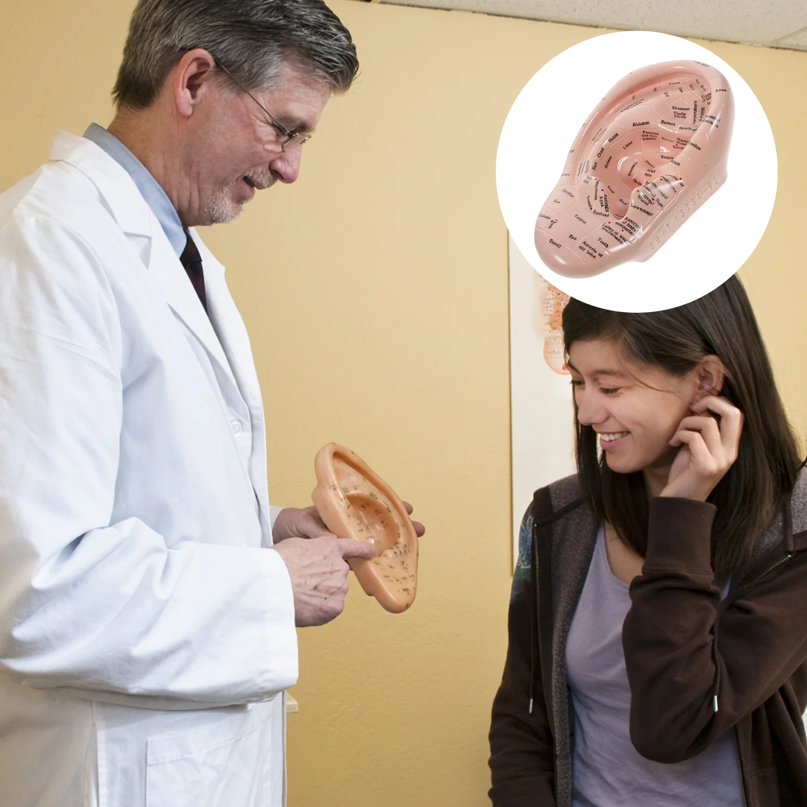 Auricular Model Ear Reflexology Cleaning Kit Seeds Acupuncture Silicone Pvc Soft Glue Auriculotherapy Massager