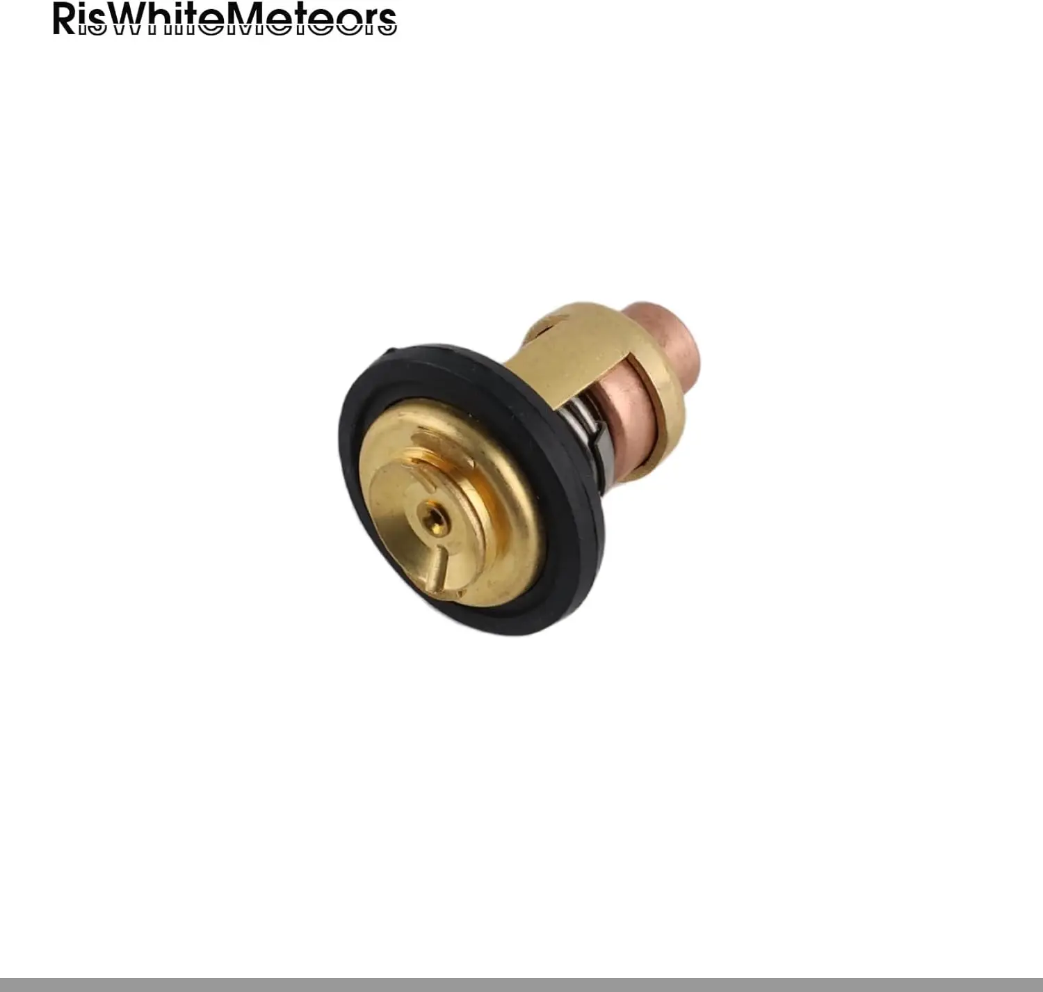 Riswitemeteors Auto…