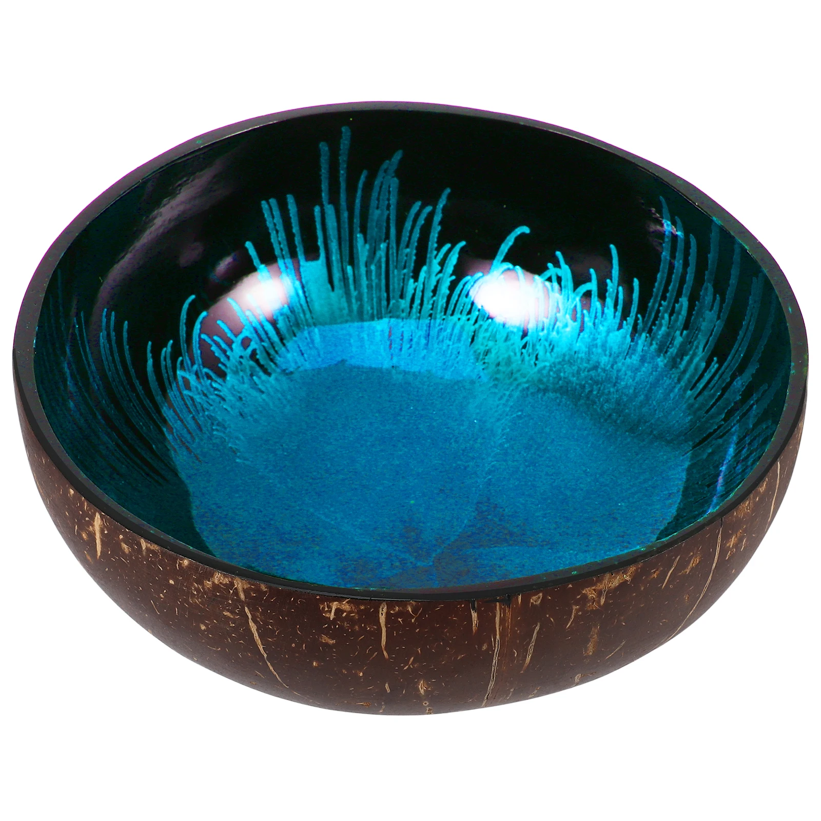 

Coconut Shell Bowl Serving Candy Dish for Desk Snacks Container Office Key Breakfast Nuts Holder