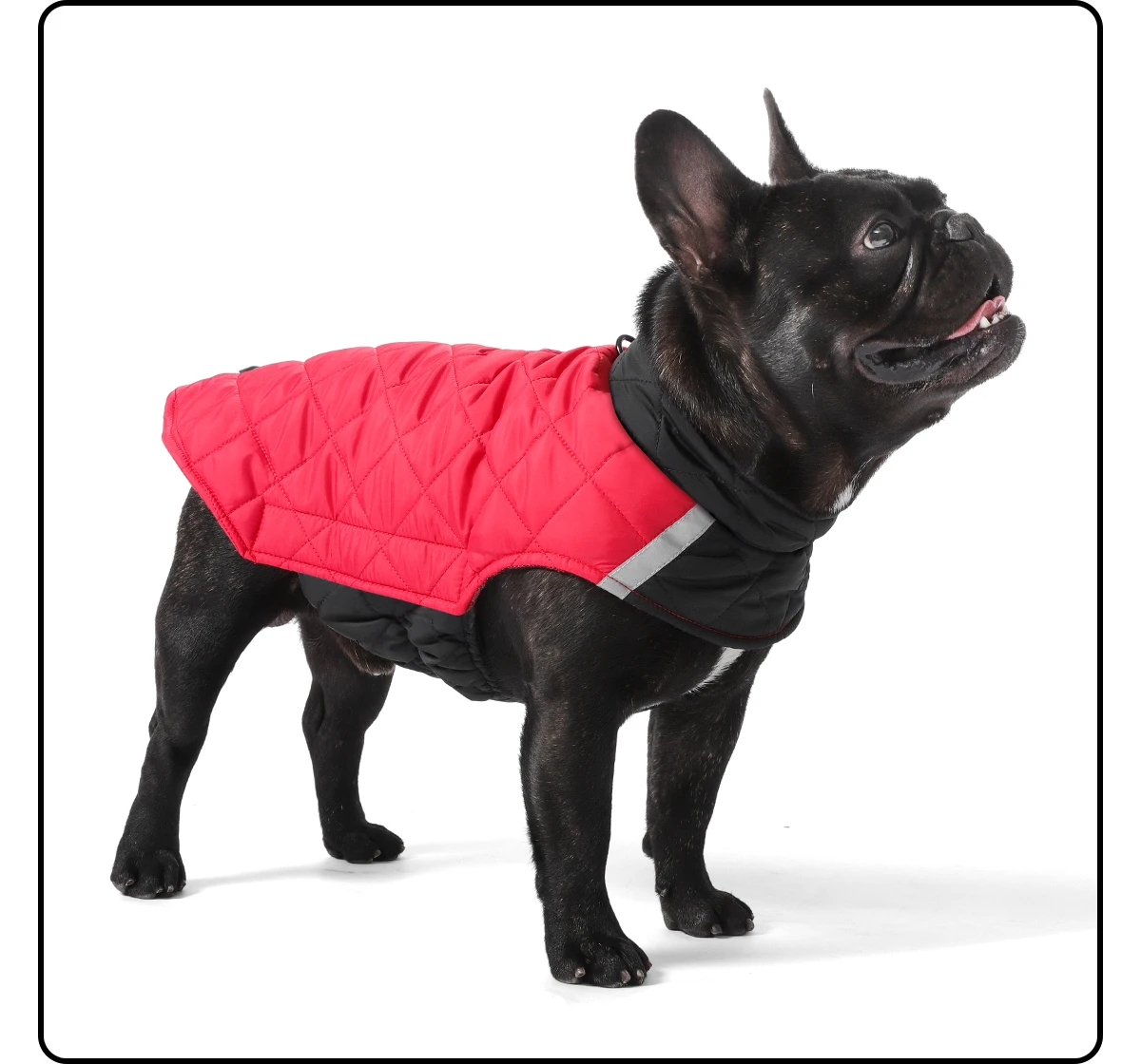 Winterhundekleidung, warmer Hundemantel, beidseitig tragbar, PP-Baumwolle, Outdoor-Welpenkleidung, Jacke, Chihuahua, French Bulldog Kleidung – Detail 12
