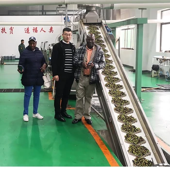 주방 오일용 스프레이 오일 병, 바비큐 살포기, 디펜서 구즈넥 물 주전자 스토브, 엑스트라 버진 올리브 액체 캔 올리브