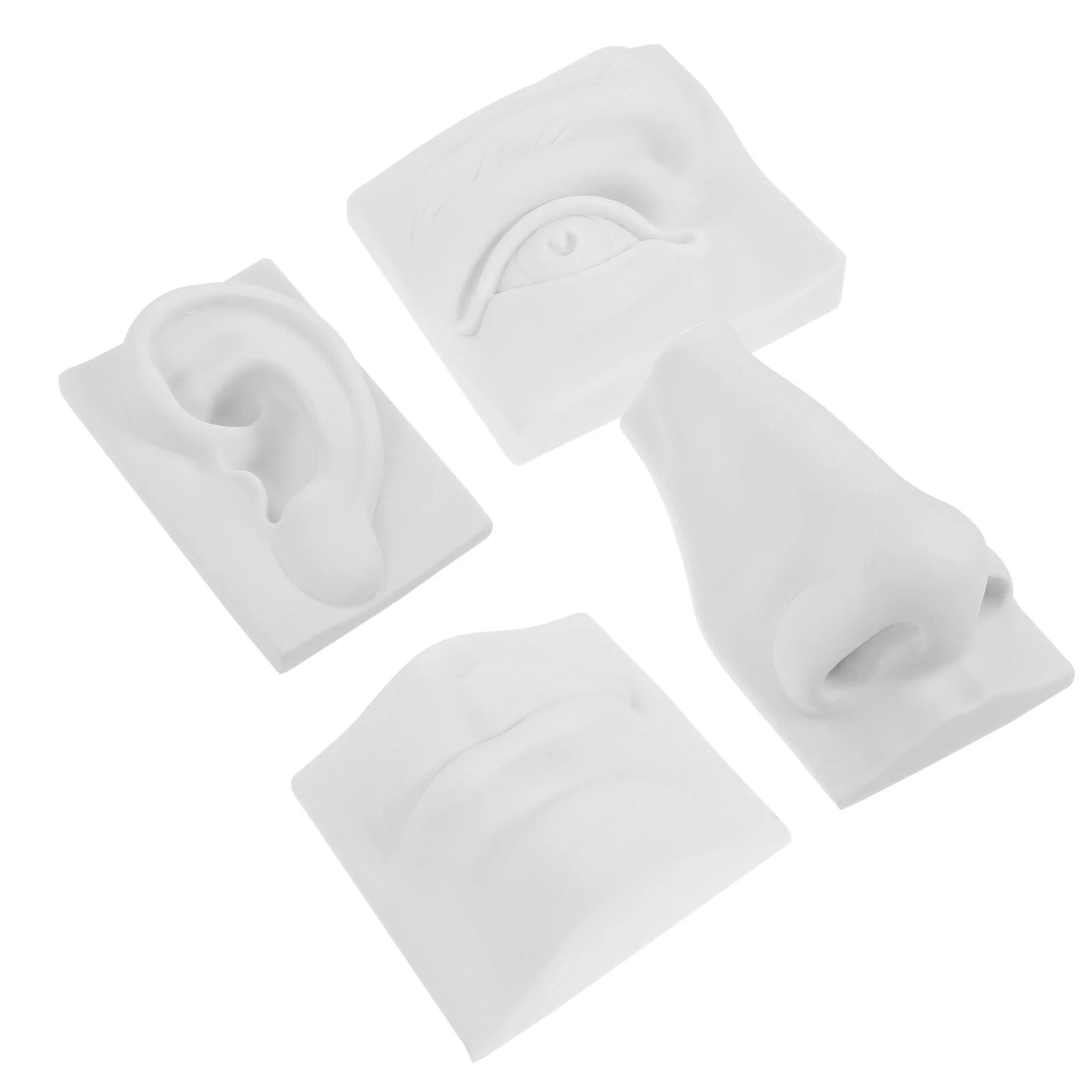 Teaching Aids Plaster Statue of Facial Features Home Adornment Sketch Practice Tool
