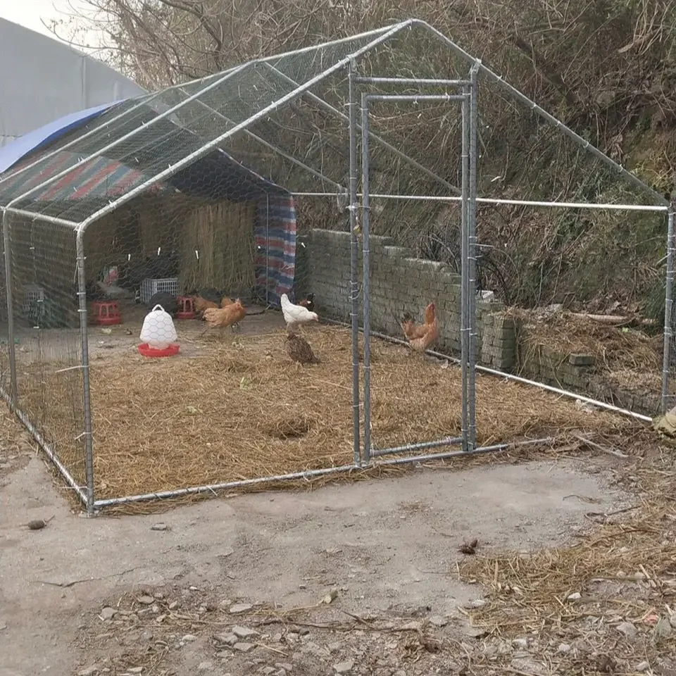 Domestic breeding shed skeleton pet Poultry farming breeding shed duck and rabbit steel pipe construction