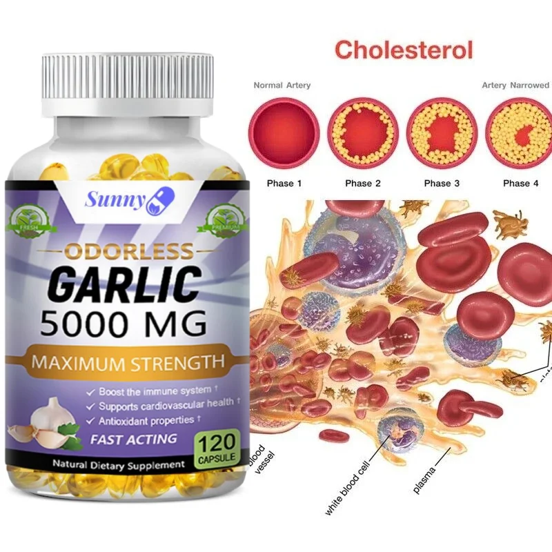 Garlic Extract Supplement - Supports Healthy Triglyceride Levels, Circulatory Health, Antioxidant, Non-GMO