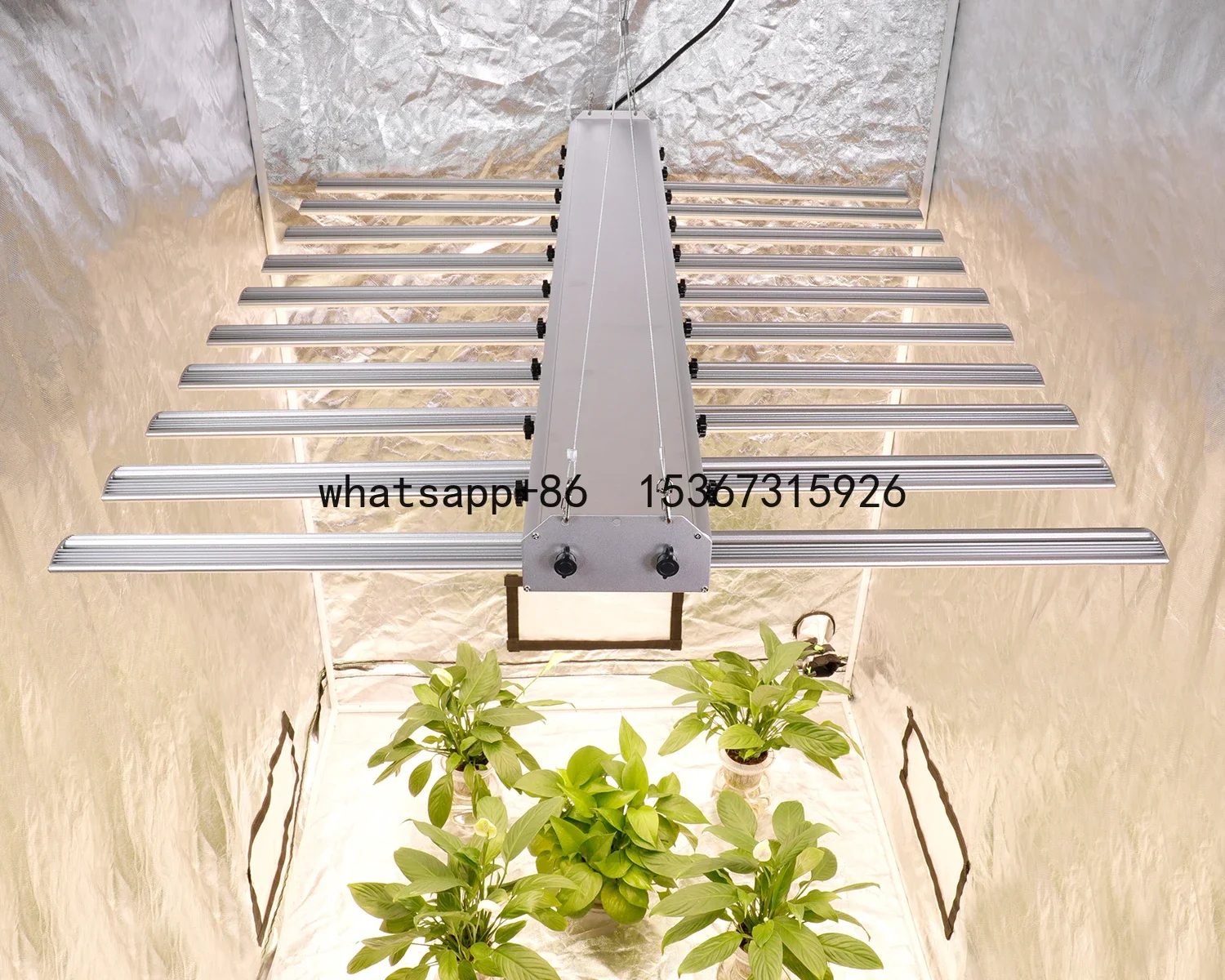 Phlizon 800W Grow Lights Led Hydroponic Grow Verlichtingssysteem Etl Vermeld 800W Wifi Control Led Grow Lamp Snelle Verzending