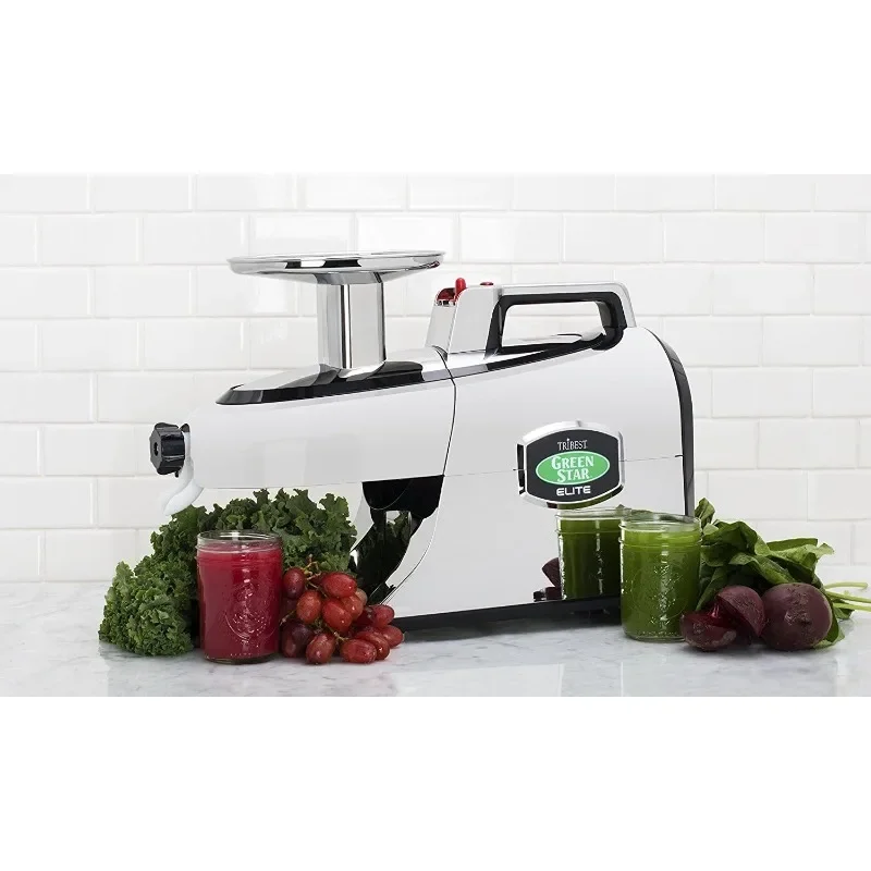 Greenstar GSE-5050 Elite Twin Gear Cold Press Slow Masticating Juicer (Chrome)