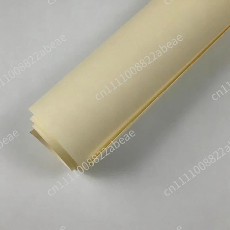 AMI-7001S anion exchange membrane