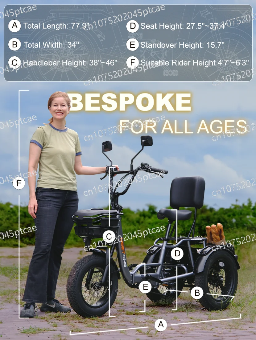 Electric Tricycle with Reverse Function for Cargo Electric Trike  Trike  Torque Sensor 750W Mid-mounted Motor 48V45Ah Folding