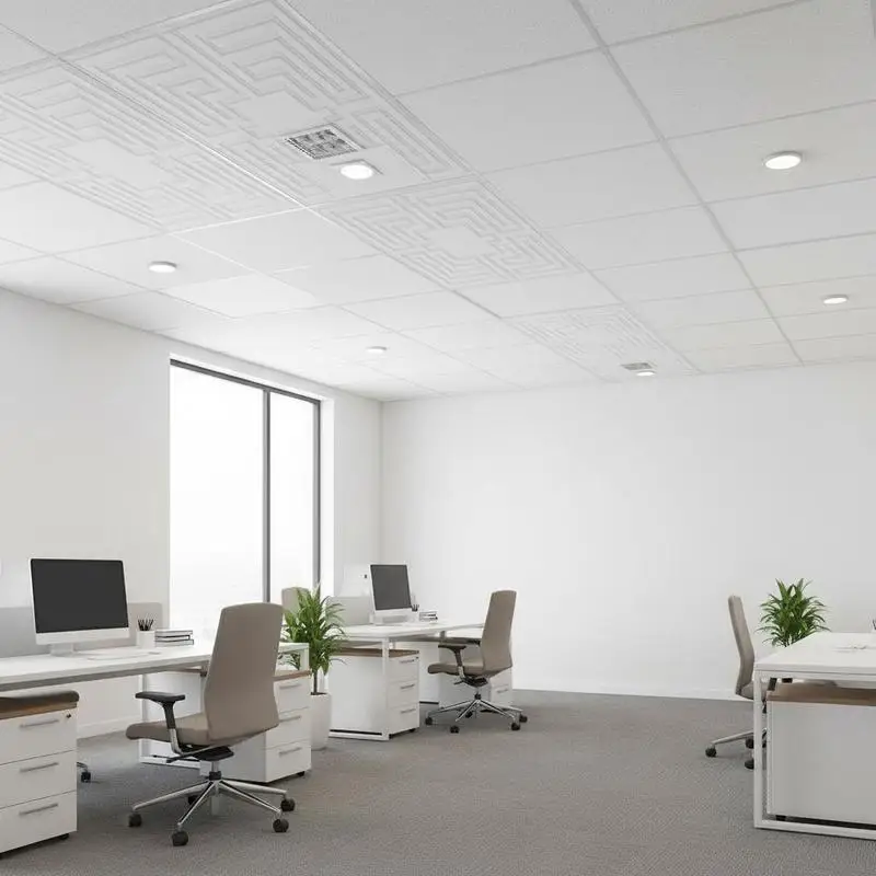 

Premium PVC Panel 24x24 in For Home Office Kitchen Ceiling, Glue-up Installation Easy Cutting Plastic Sheet White Echo Pattern Decor 12-Pack