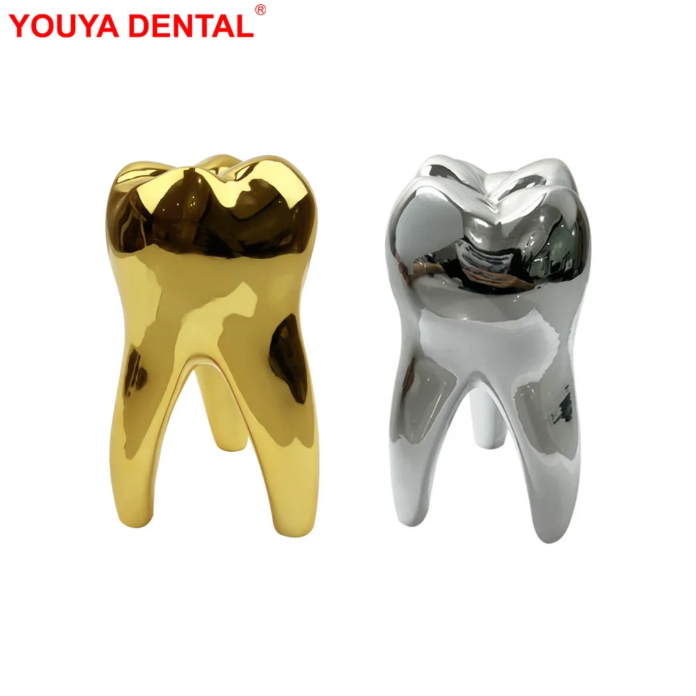 Dentist Tooth Decoration For Dental Clinic Office Table Decor Teeth Model Figurines Ornament Dental Decoration Accessories Gift