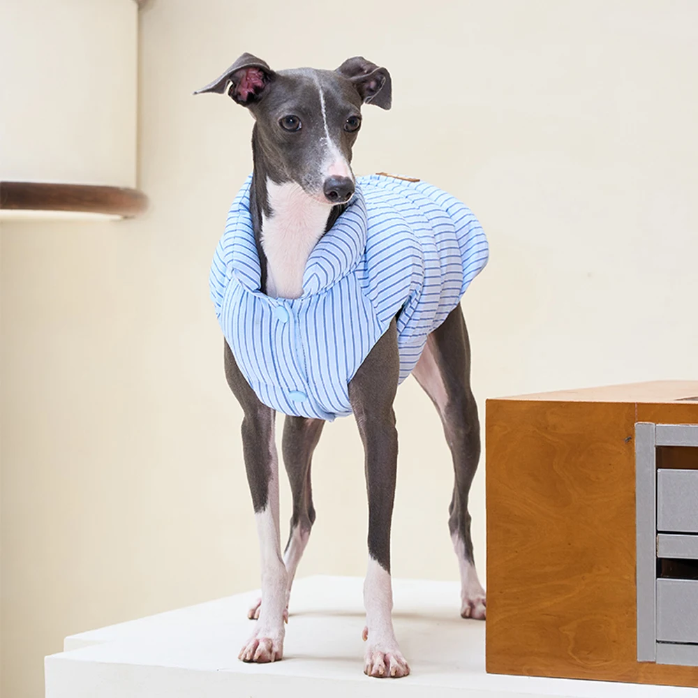 Winterwarmer Daunenmantel zum schnellen Abziehen für italienischen Windhund, winddichte Streifen-Reißverschlussjacke für kleine Whippet-Hunde im Herbst – Detail 7