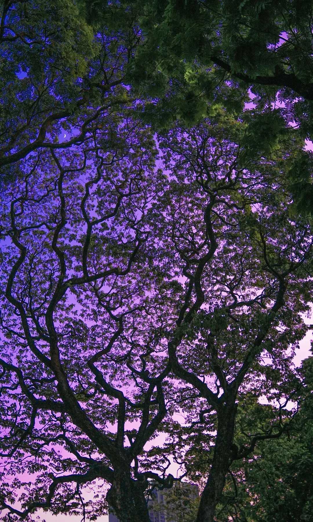 

Cold Air Intake Pipe & Filter Kit Black Aluminum For Ford 6.0L Diesel 2003-2007 F-Series 2003-2005 Excursion Air Intake System