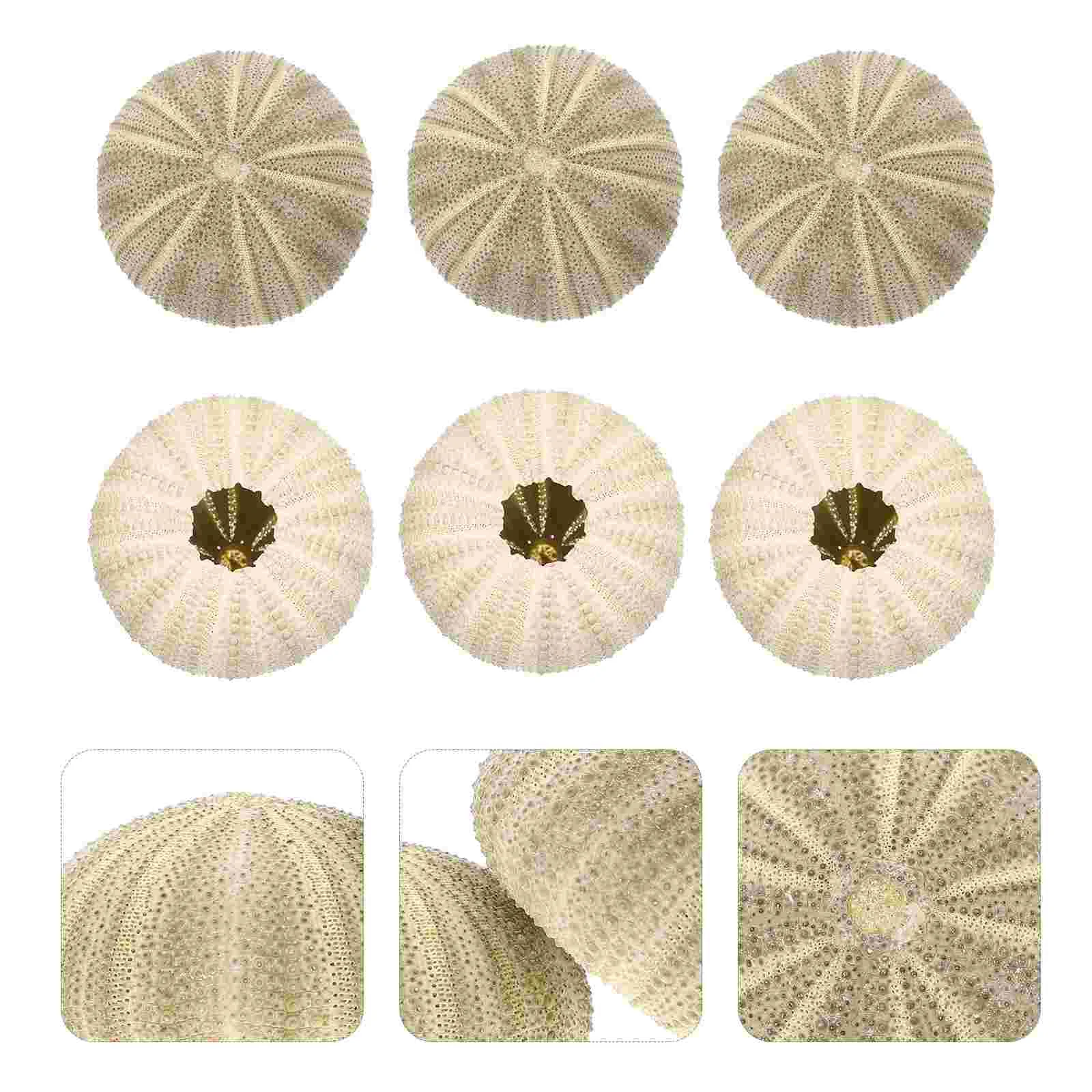 

6 Pcs Faux Plant Potted Home Sea Urchin Shell Decoration Rack Creative Flowerpots Air Plants Green Aquarium Landscape