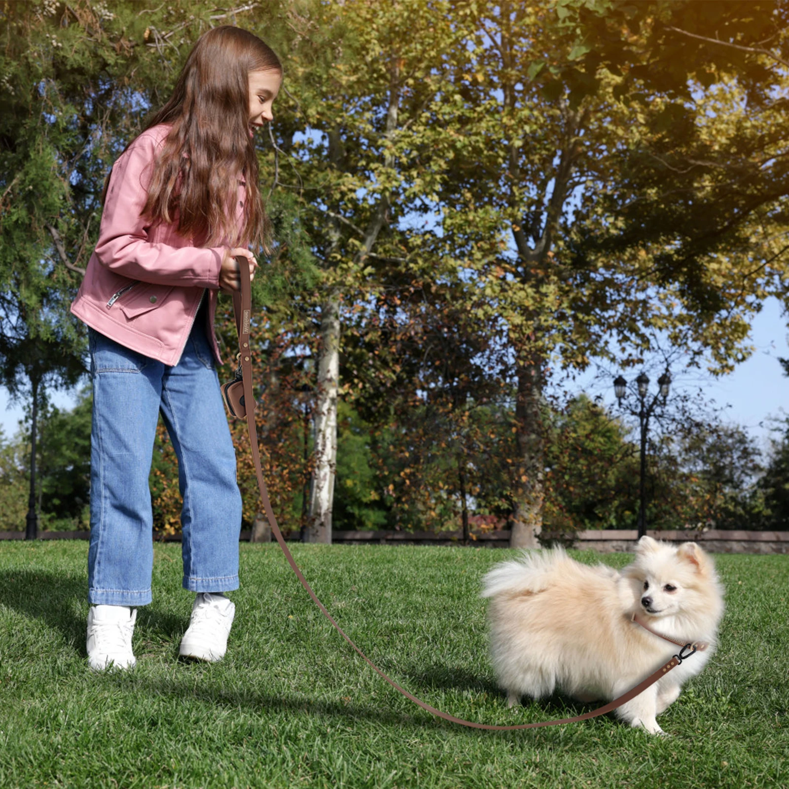 Farbblockierender Nieten-Hundeleinen-Griff und luxuriöse Schokoladenbraune Universal-Hundeleine für große, mittlere und kleine Hunde – Detail 6