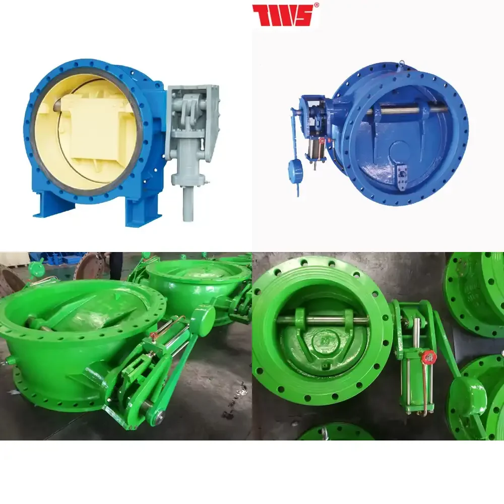 

Butterfly Tilting Check Valve with Counter Weight and Hydraulic Damper