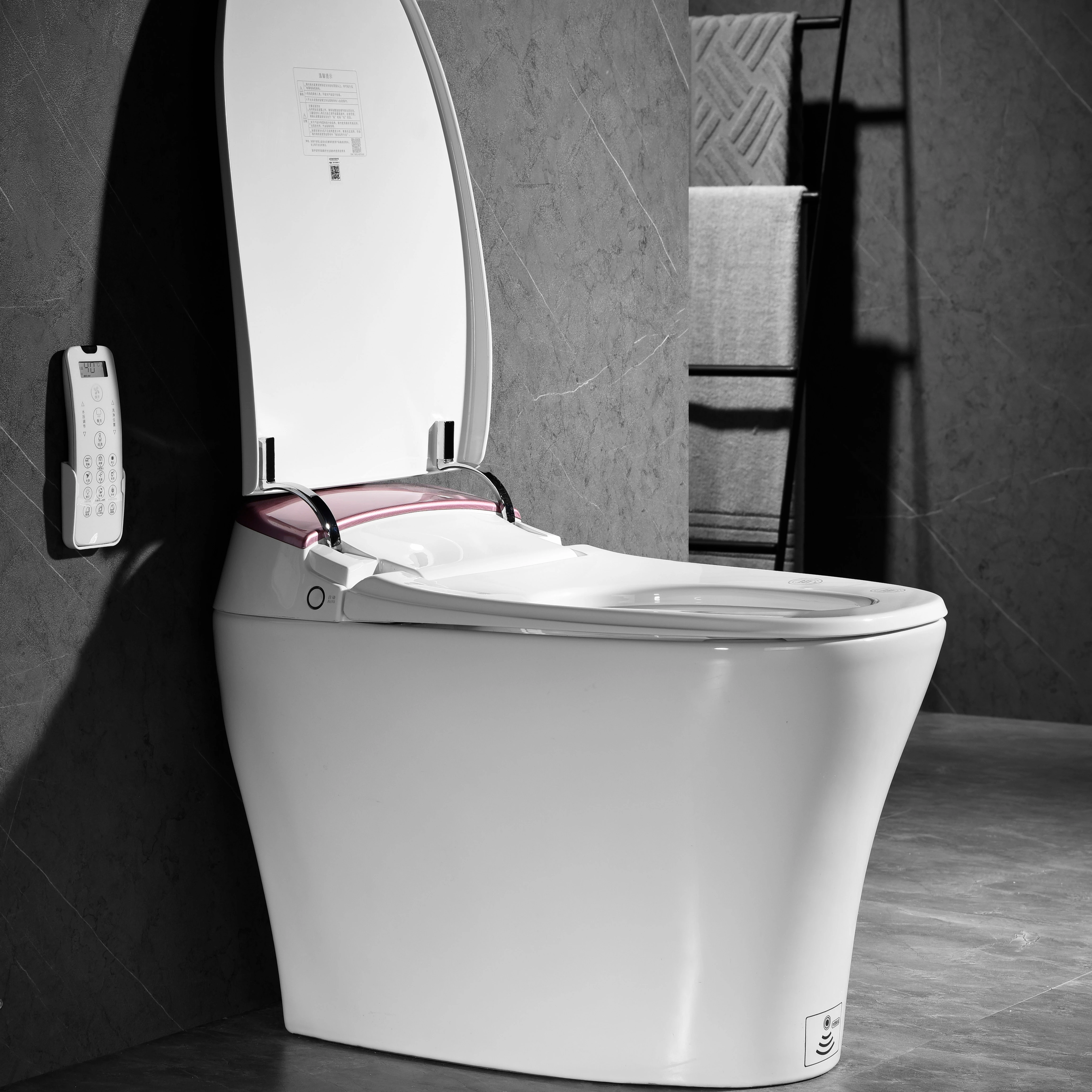 Smart Toilet Seat, Floor Mounted Bidet, Automatic Sensor, Multiple Color Options, Wc Toilet, Intelligent Bathroom Fixture