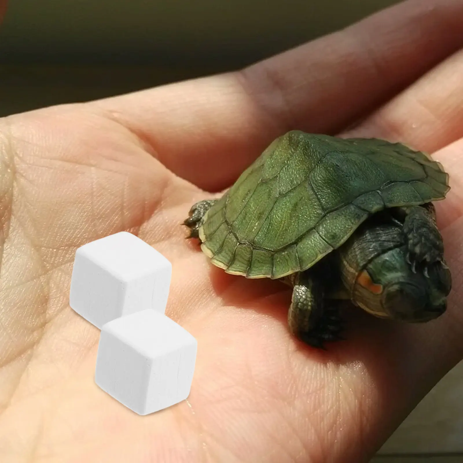 6Pcs Natural Mineral Block for Reptiles Turtles Hermit Crabs Chinchillas Hamsters Small Pets Teeth Grinding Calcium Supplement