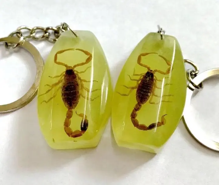 15 pcs keychain real gold color scorpion design cool jewelry newest key ring Specimen Crafts