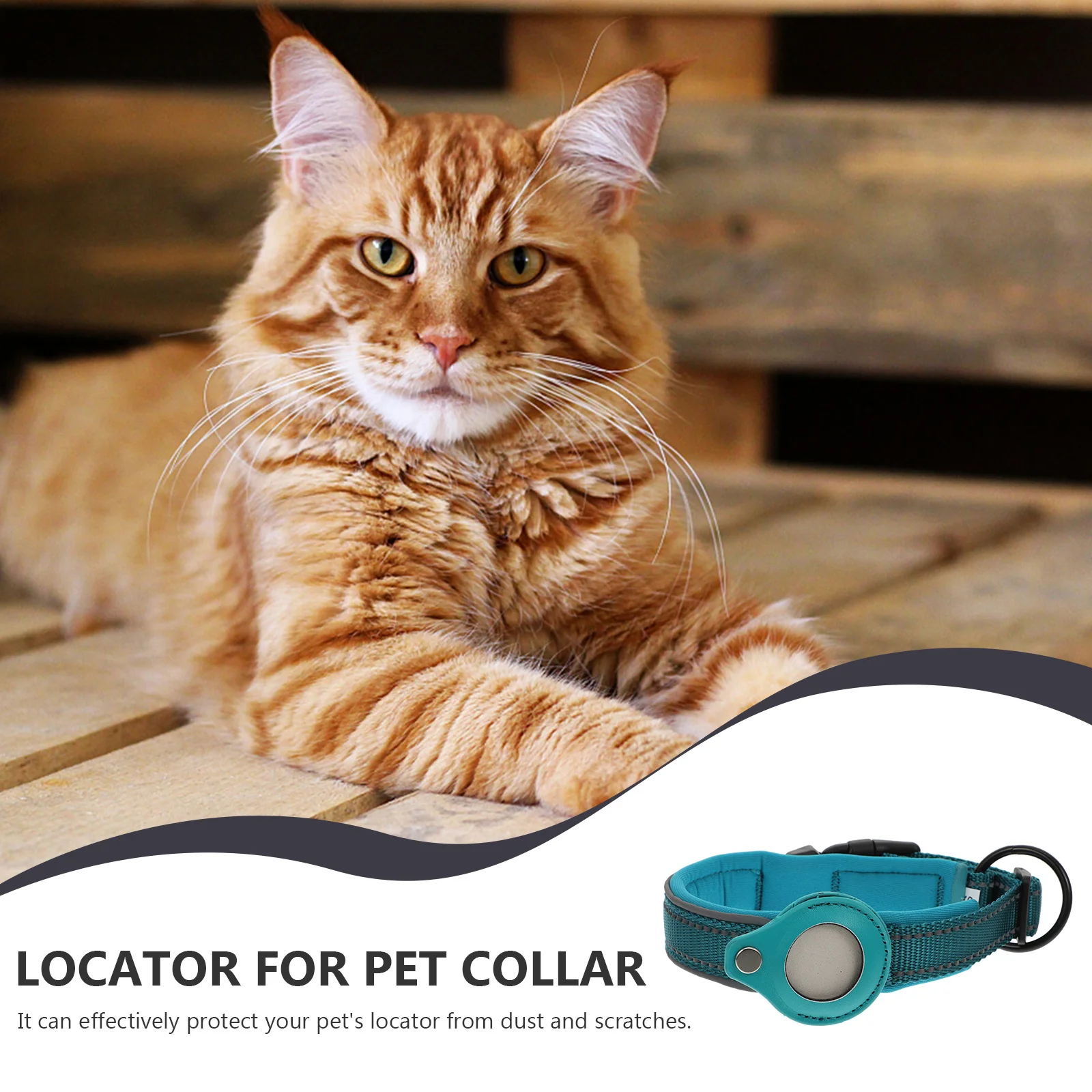 

Escape Proof Collar for Dogs Id Compatible with Accessories Holder Pet Strap