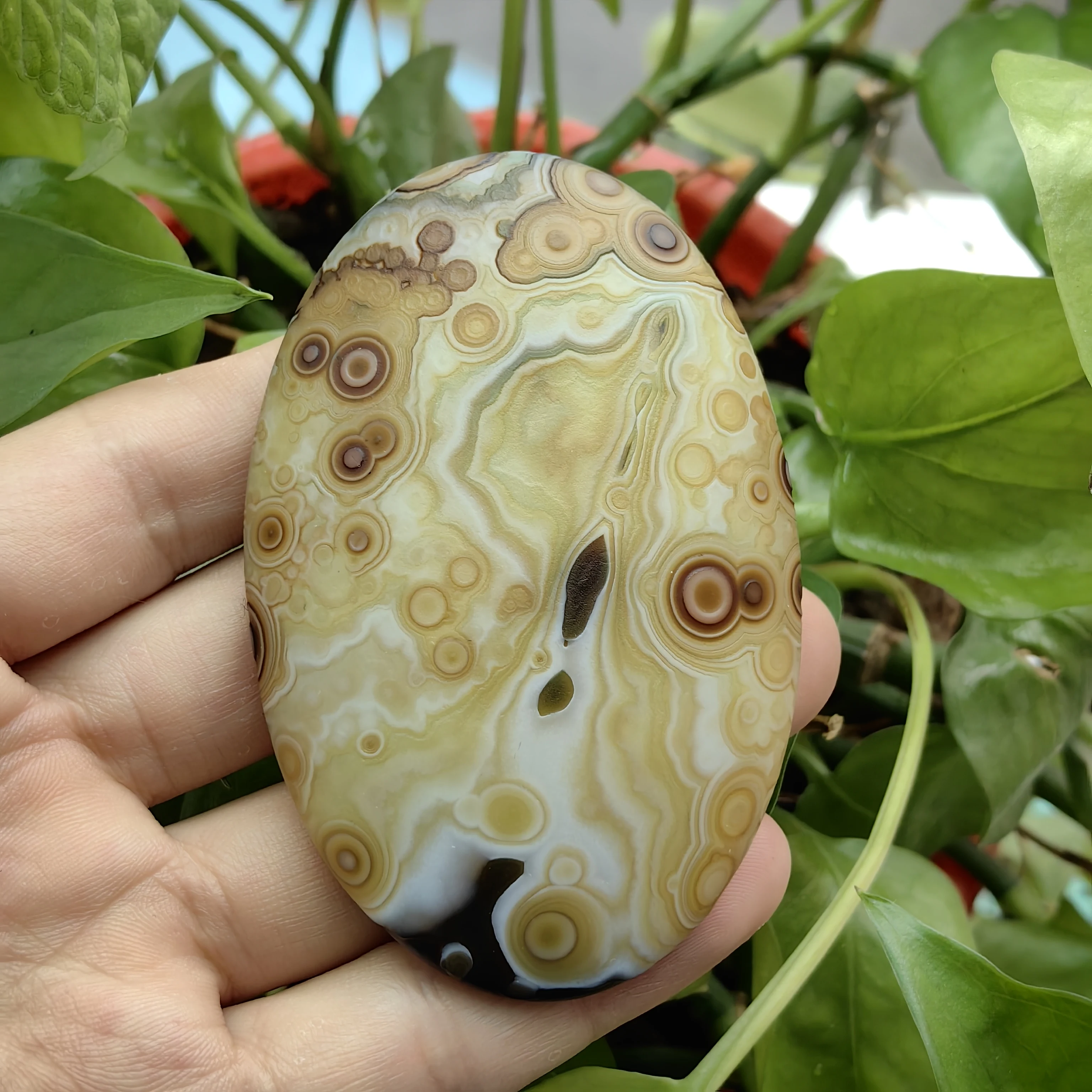 Exotic Gobi Agate with Multiple Eye Spots Rich Color Layers, Lucky Charm for Wealth and Fortune Unique Rock for Prayer - view 6