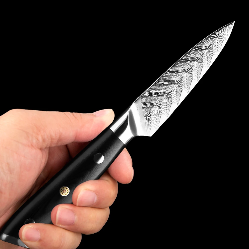 

Sharp 3.5Inch Paring Knife Japanese Damascus Steel Fruit Knife Kitchen Peeling Knife Carving Knife Black G10 Triple Spike Handle