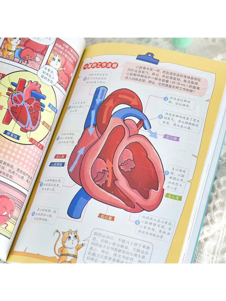 Book-Winshare Wonderful Children's Science Comic Book The Secrets Of the Body