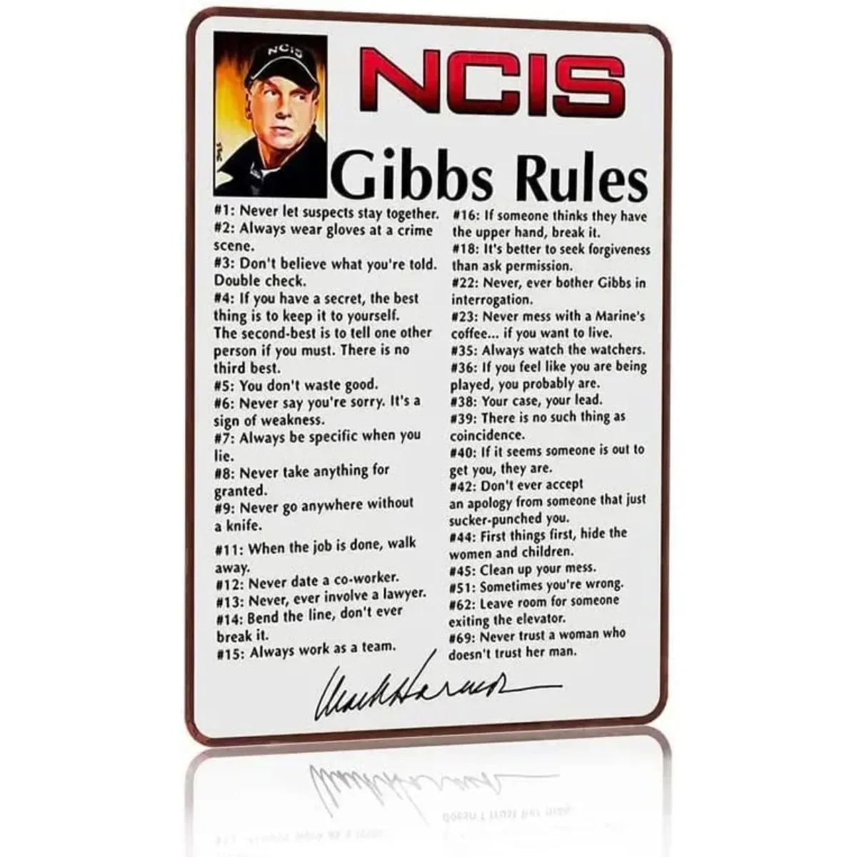 NCIS-letrero de Metal de hojalata para hombre, decoración de pared de 12x8 pulgadas, 20x30cm, con las reglas de Molly, Leroy Jethro