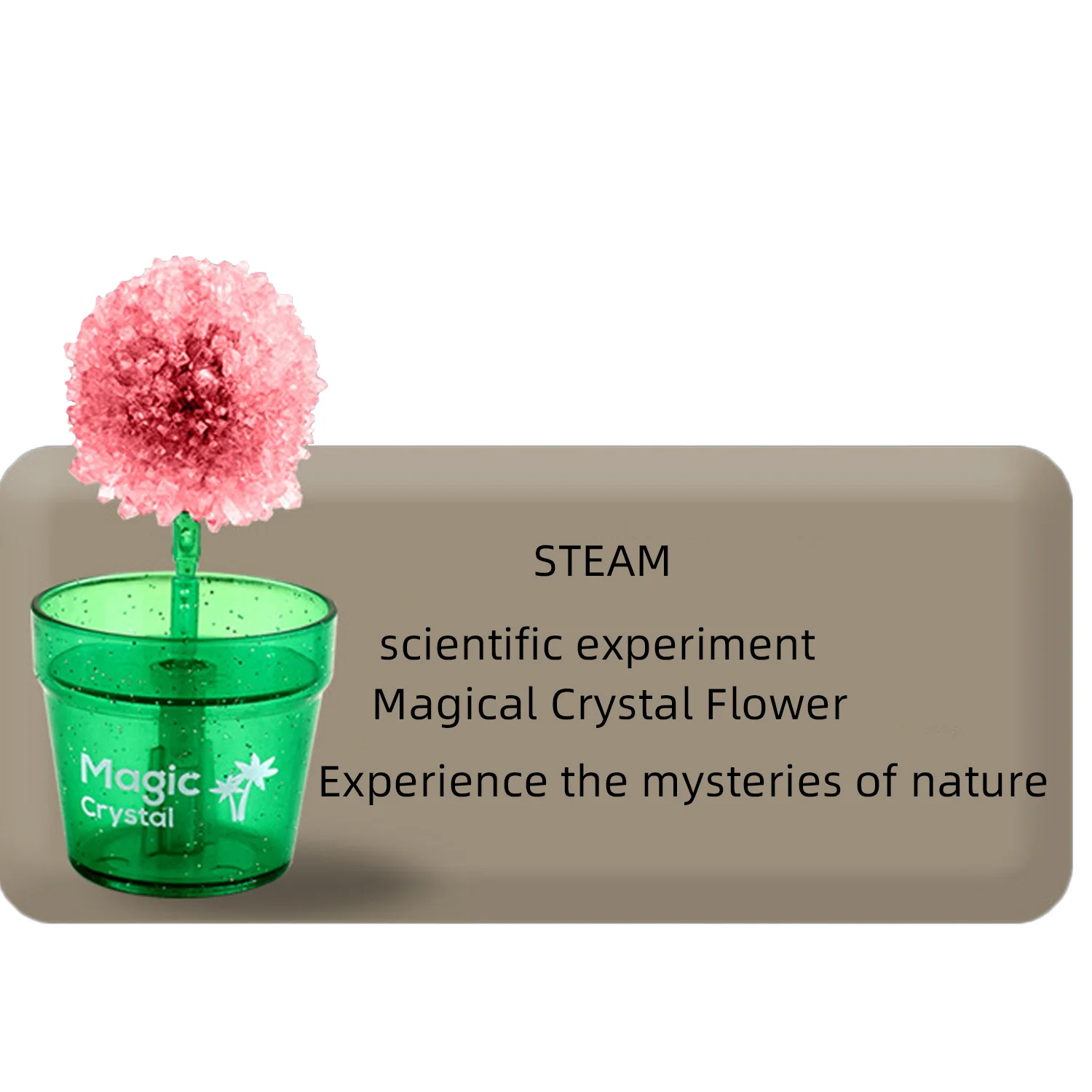 Science experiment crystal planting DIY creative flower shaped crystal tree fun parent-child experiment set