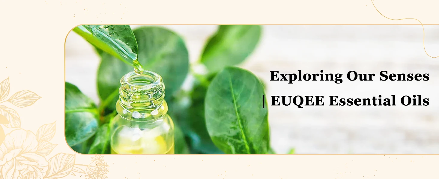 EUQEE 118ML Large Bottle Essential Oil For Humidifier Neroli Helichrysum Eucalyptus Jasmine Aroma Oil,DIY Soap,Massage,Fresh Air
