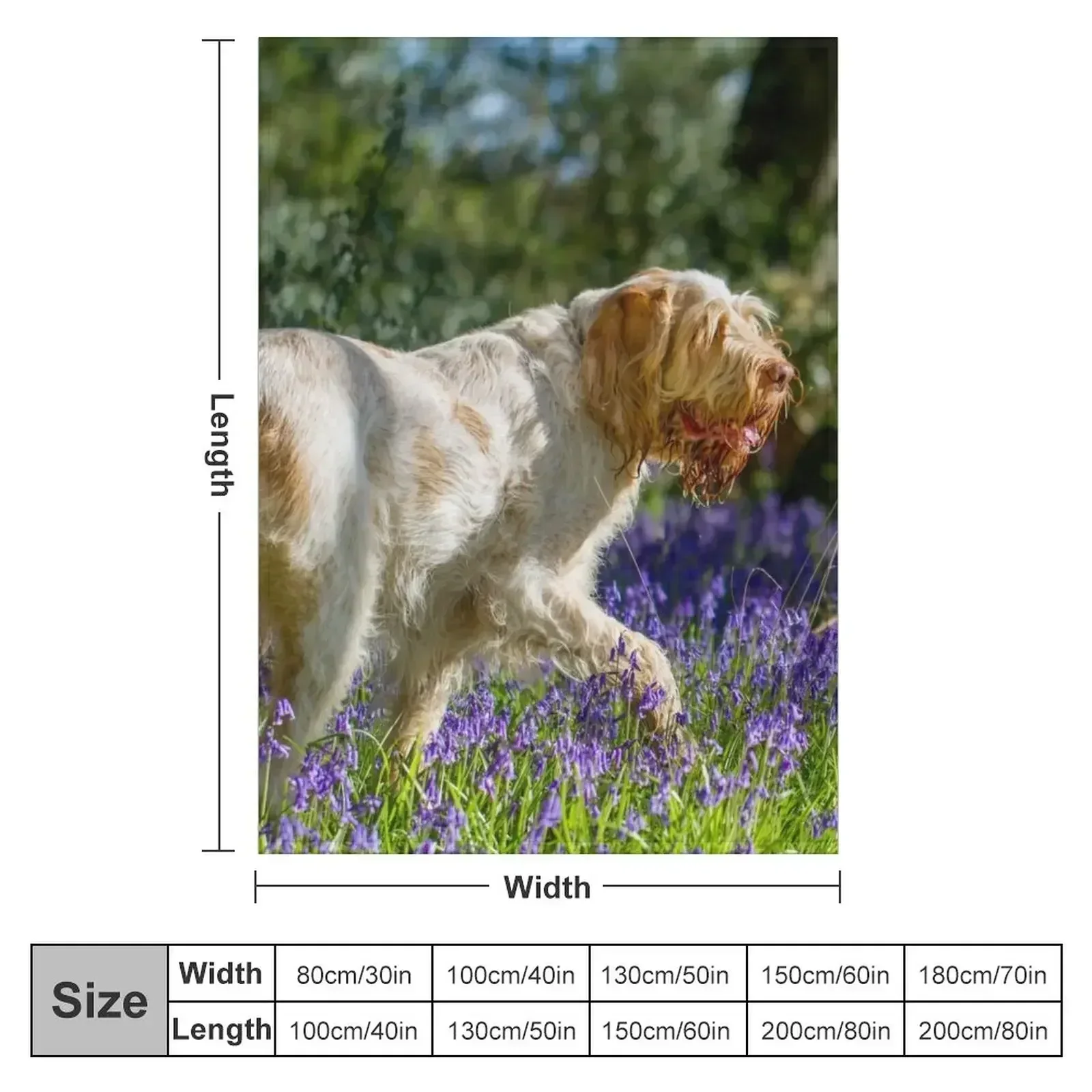 Bluebell wood Spinone Throw Blanket Hairys Cute decorative Blankets