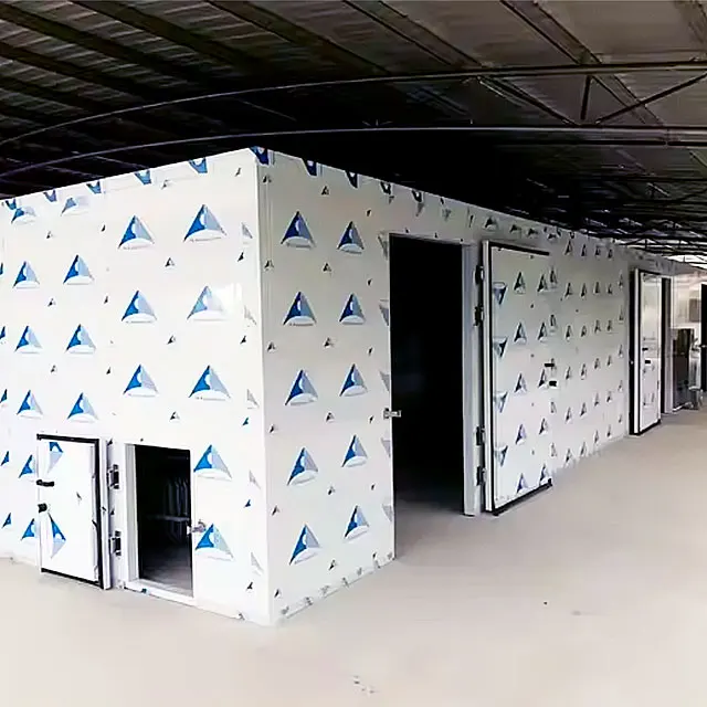 China Cold Room Supplier Cold Room Panel Cold Storage Room Walk in Cooler Freezer for Food