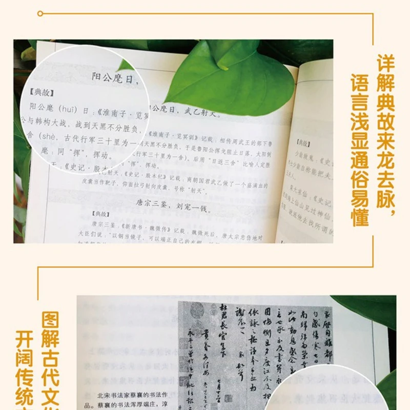 ظل سوط التنين، كلاسيكيات الشخصيات التاريخية الصينية، الروايات، كتب القراءة اللامنهجية والشعر