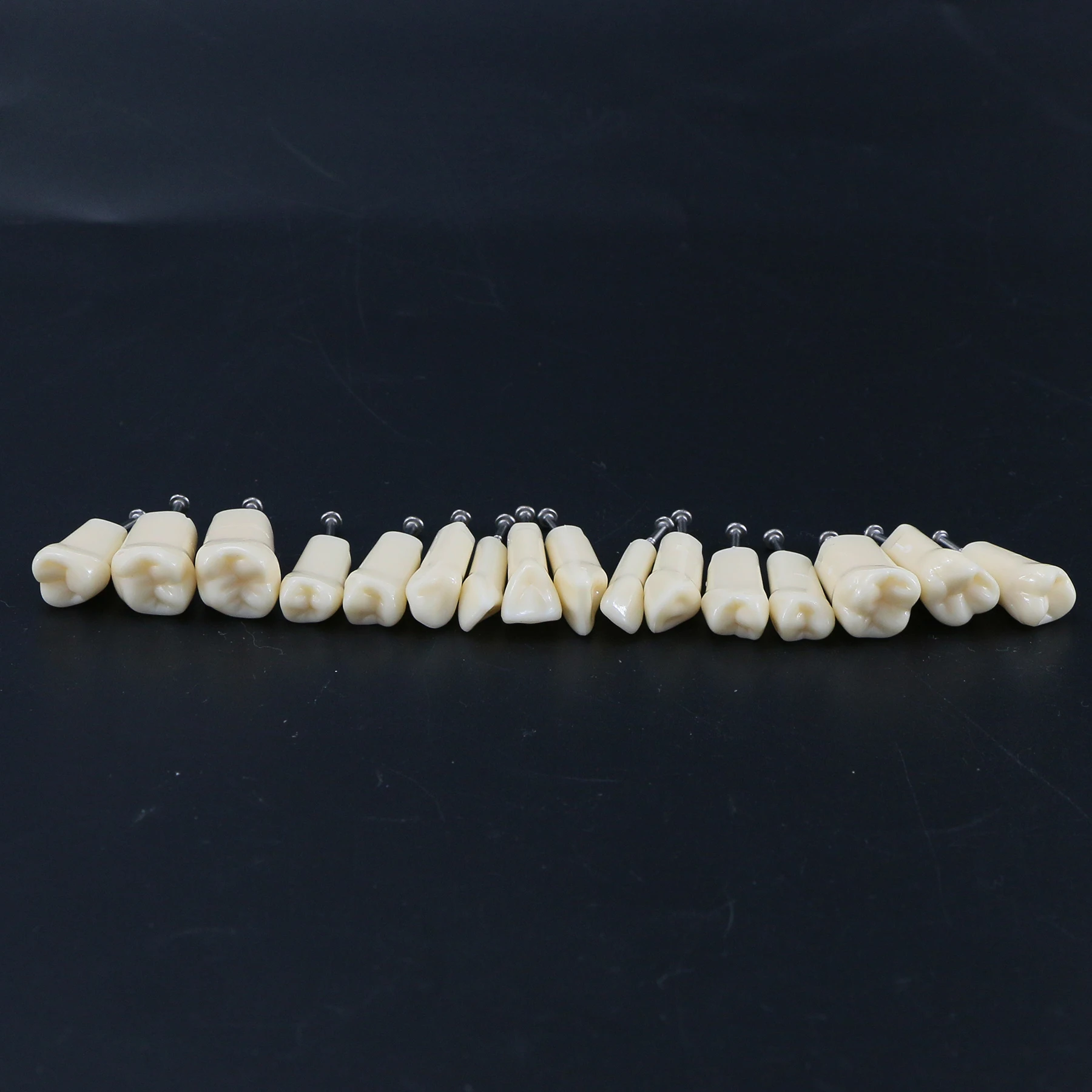 Dental Typodont Kilgore Nissin 500 Type Removable 32Pcs Simulation Cheek Student Oral Teaching Practice Teeth Model